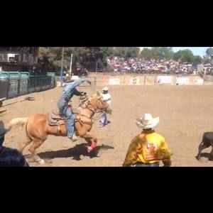 Meet your Posher, Patrick boogie